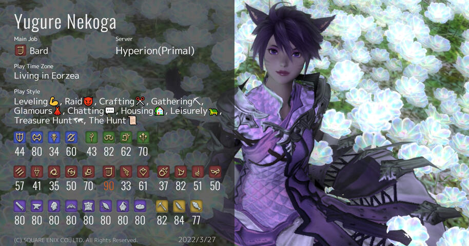 Made with https://characa.kkimu.dev/ A screenshot that shows the user's Stats and their main Warrior of Light