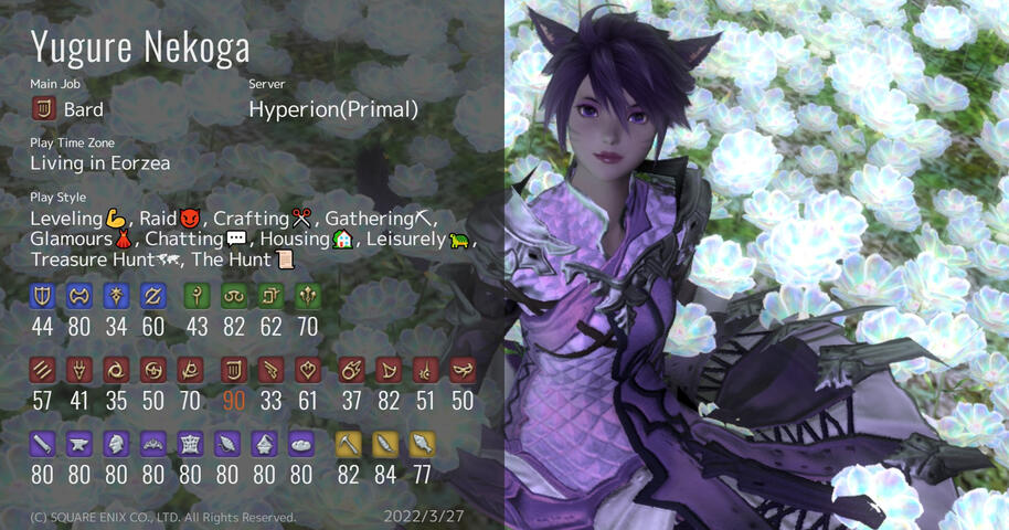 A screenshot that shows the user's Stats and their main Warrior of Light